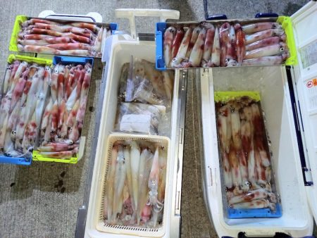 第二龍勢丸 釣果