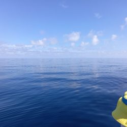 第二龍勢丸 釣果