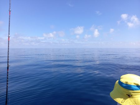 第二龍勢丸 釣果