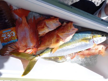 第二龍勢丸 釣果