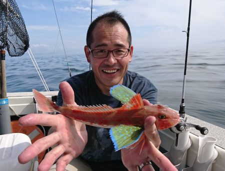 遊漁船　家入 釣果