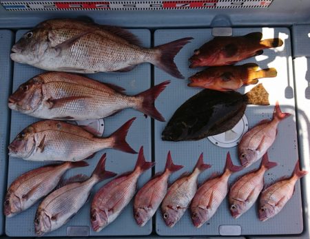 遊漁船 家入 釣果