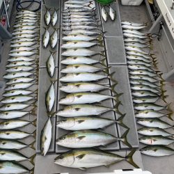 SeaRide(シーライド) 釣果