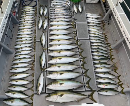 SeaRide(シーライド) 釣果