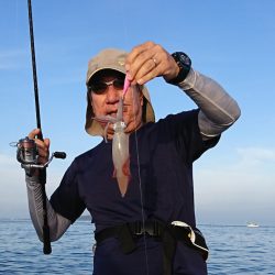 遊漁船　家入 釣果