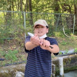 白州トラウトフィッシングエリア シルフ 釣果