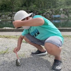 白州トラウトフィッシングエリア シルフ 釣果