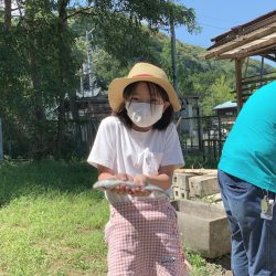 白州トラウトフィッシングエリア シルフ 釣果