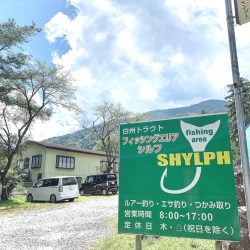 白州トラウトフィッシングエリア シルフ 釣果