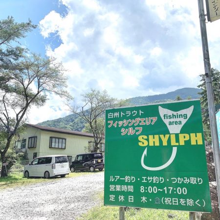 白州トラウトフィッシングエリア シルフ 釣果