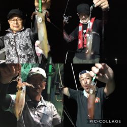 渡船屋たにぐち 釣果