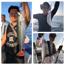 ビッグファイター 釣果