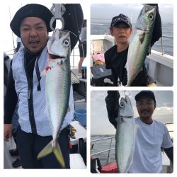 ビッグファイター 釣果