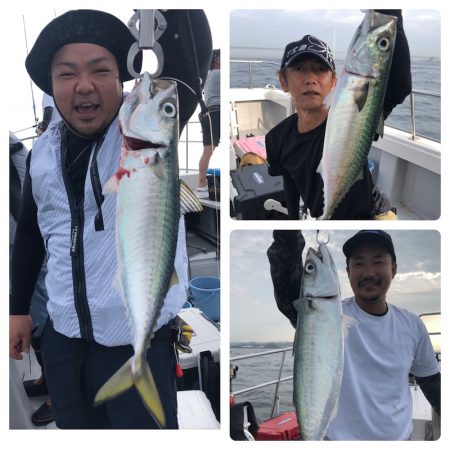 ビッグファイター 釣果