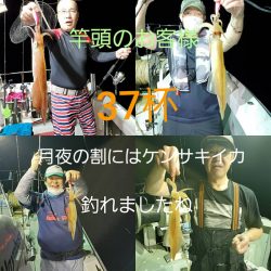 シーライオン 釣果