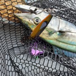 サンマリン 釣果