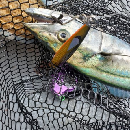 サンマリン 釣果