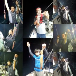 シーライオン 釣果