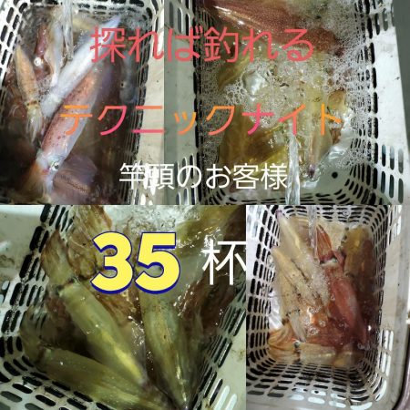 シーライオン 釣果