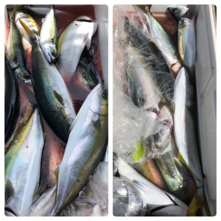 ビッグファイター 釣果