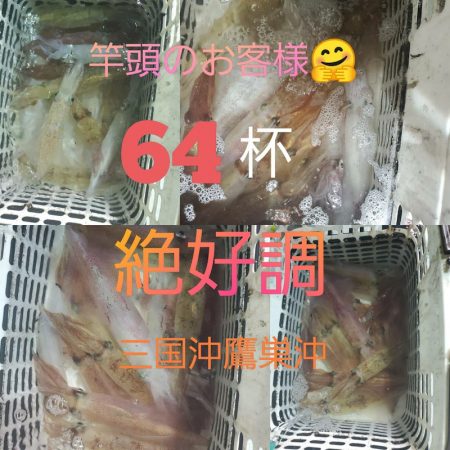 シーライオン 釣果