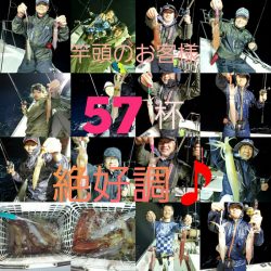 シーライオン 釣果