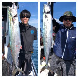 ビッグファイター 釣果