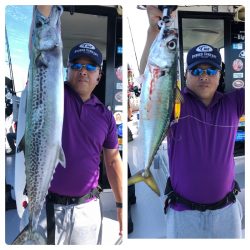 ビッグファイター 釣果