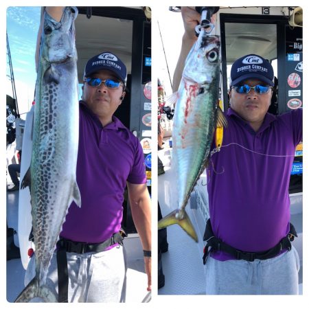 ビッグファイター 釣果