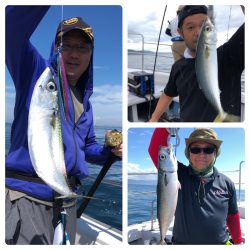 ビッグファイター 釣果