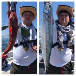 ビッグファイター 釣果