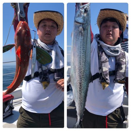 ビッグファイター 釣果