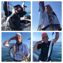 ビッグファイター 釣果