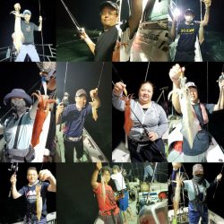 シーライオン 釣果