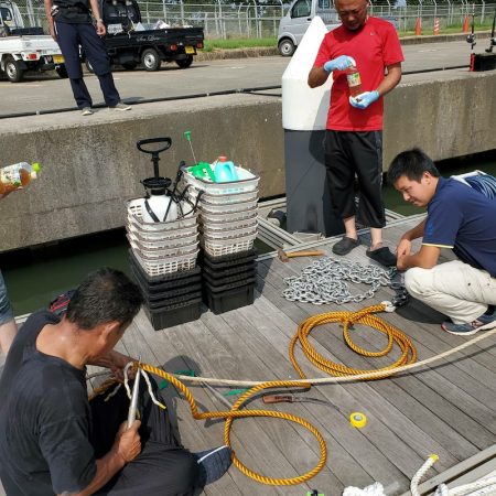 シーライオン 釣果