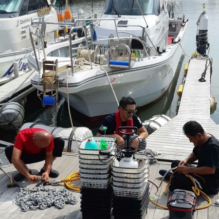 シーライオン 釣果