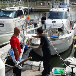 シーライオン 釣果