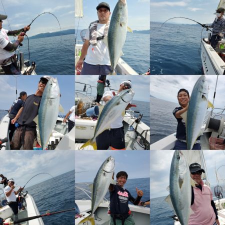 シーライオン 釣果