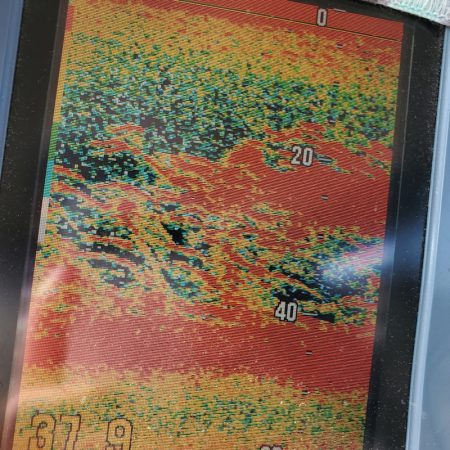 サンマリン 釣果