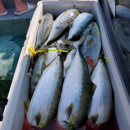 サンマリン 釣果