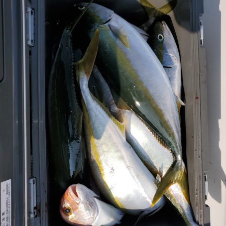 サンマリン 釣果