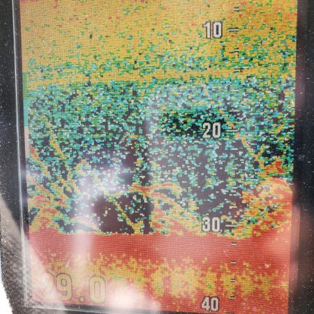 サンマリン 釣果