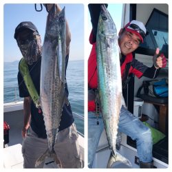 ビッグファイター 釣果