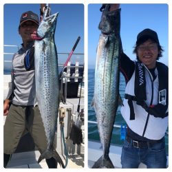 ビッグファイター 釣果