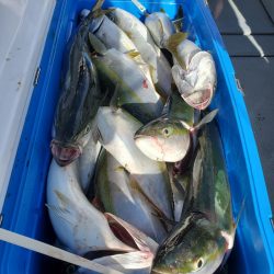 サンマリン 釣果