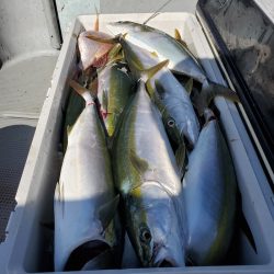 サンマリン 釣果