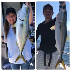 ビッグファイター 釣果