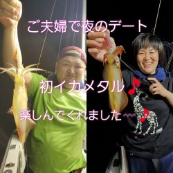 シーライオン 釣果