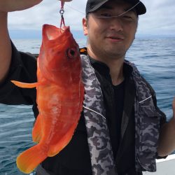 渡船屋たにぐち 釣果