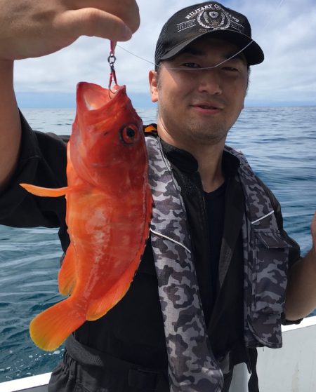 渡船屋たにぐち 釣果